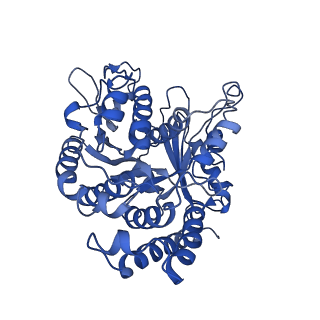21937_6wwj_B_v1-1
KIF14[391-755] - ADP in complex with a microtubule