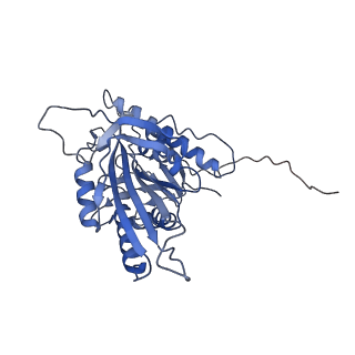 21937_6wwj_K_v1-1
KIF14[391-755] - ADP in complex with a microtubule