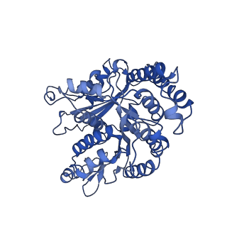 21938_6wwk_A_v1-1
KIF14[391-755] dimer two-heads-bound state - ADP-AlFx in complex with a microtubule