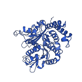 21938_6wwk_B_v1-1
KIF14[391-755] dimer two-heads-bound state - ADP-AlFx in complex with a microtubule