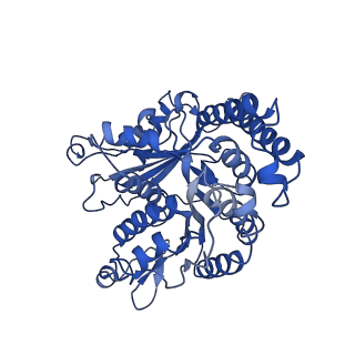 21938_6wwk_E_v1-1
KIF14[391-755] dimer two-heads-bound state - ADP-AlFx in complex with a microtubule