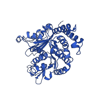 21938_6wwk_I_v1-1
KIF14[391-755] dimer two-heads-bound state - ADP-AlFx in complex with a microtubule