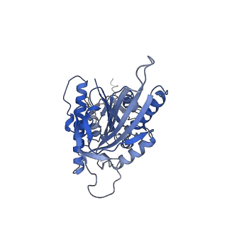 21938_6wwk_N_v1-1
KIF14[391-755] dimer two-heads-bound state - ADP-AlFx in complex with a microtubule