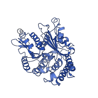 21939_6wwl_A_v1-1
KIF14[391-755] dimer two-heads-bound state - AMP-PNP in complex with a microtubule