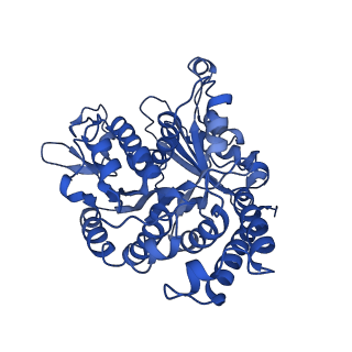 21939_6wwl_B_v1-1
KIF14[391-755] dimer two-heads-bound state - AMP-PNP in complex with a microtubule