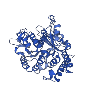 21939_6wwl_I_v1-1
KIF14[391-755] dimer two-heads-bound state - AMP-PNP in complex with a microtubule