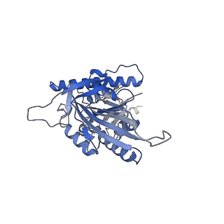 21939_6wwl_N_v1-1
KIF14[391-755] dimer two-heads-bound state - AMP-PNP in complex with a microtubule