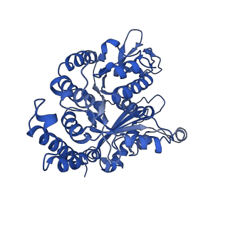 21940_6wwm_B_v1-1
KIF14[391-748] - ADP in complex with a microtubule