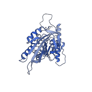 21940_6wwm_K_v1-1
KIF14[391-748] - ADP in complex with a microtubule