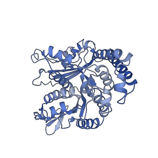 21945_6wwr_A_v1-1
Kif14[391-743] - ADP-AlFx open state class in complex with a microtubule