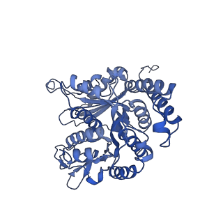 21945_6wwr_B_v1-1
Kif14[391-743] - ADP-AlFx open state class in complex with a microtubule