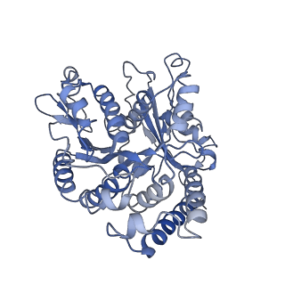 21948_6wwu_A_v1-1
KIF14[391-735] - ADP-AlFx in complex with a microtubule