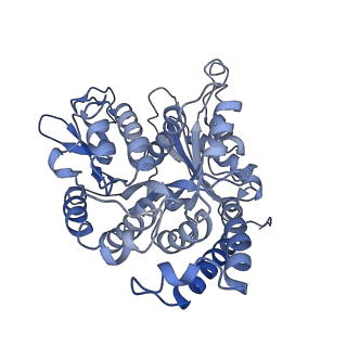 21948_6wwu_B_v1-1
KIF14[391-735] - ADP-AlFx in complex with a microtubule