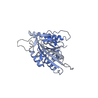 21948_6wwu_K_v1-1
KIF14[391-735] - ADP-AlFx in complex with a microtubule