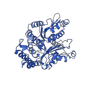 21949_6wwv_A_v1-1
KIF14[391-735] - ANP-PNP in complex with a microtubule