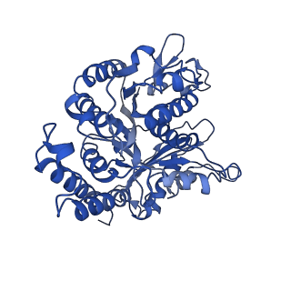 21949_6wwv_B_v1-1
KIF14[391-735] - ANP-PNP in complex with a microtubule