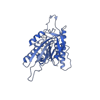 21949_6wwv_K_v1-1
KIF14[391-735] - ANP-PNP in complex with a microtubule