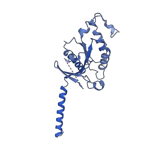 21950_6wwz_A_v1-1
Cryo-EM structure of the human chemokine receptor CCR6 in complex with CCL20 and a Go protein