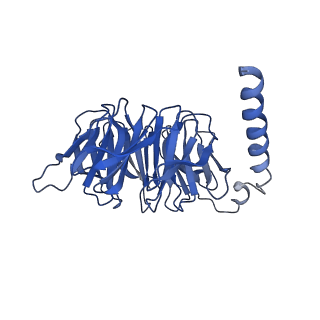 21950_6wwz_B_v1-1
Cryo-EM structure of the human chemokine receptor CCR6 in complex with CCL20 and a Go protein