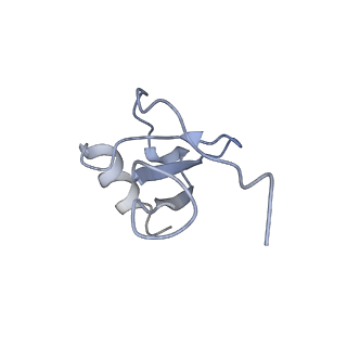 21950_6wwz_C_v1-1
Cryo-EM structure of the human chemokine receptor CCR6 in complex with CCL20 and a Go protein