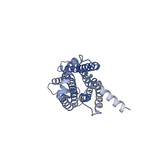 21950_6wwz_R_v1-1
Cryo-EM structure of the human chemokine receptor CCR6 in complex with CCL20 and a Go protein