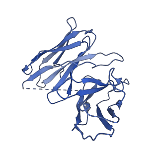 21950_6wwz_S_v1-1
Cryo-EM structure of the human chemokine receptor CCR6 in complex with CCL20 and a Go protein