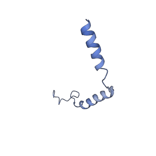 21950_6wwz_Y_v1-1
Cryo-EM structure of the human chemokine receptor CCR6 in complex with CCL20 and a Go protein