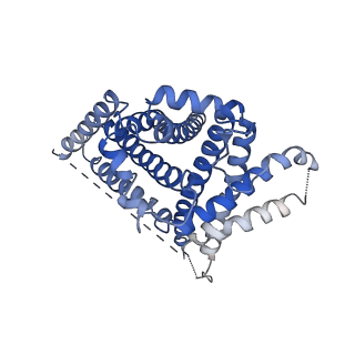 32865_7wwb_B_v1-1
Choline transporter-like protein 1