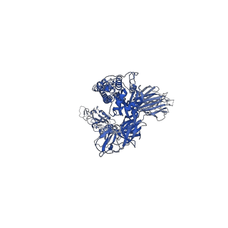 32866_7wwi_B_v1-1
SARS-CoV-2 BA.1 Spike trimer in complex with 55A8 Fab in the class 1 conformation