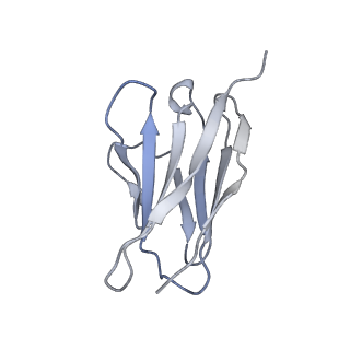 32867_7wwj_F_v1-1
SARS-CoV-2 BA.1 Spike trimer in complex with 55A8 Fab in the class 2 conformation