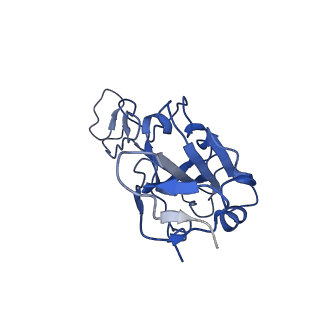 32868_7wwk_B_v1-1
Local refinement of the SARS-CoV-2 BA.1 Spike trimer in complex with 55A8 Fab