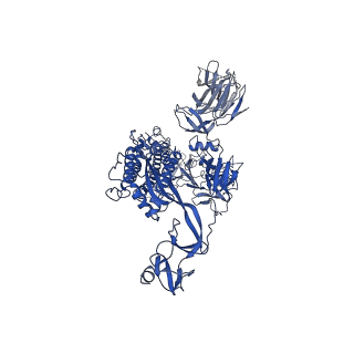 32869_7wwl_B_v1-0
S protein of Delta variant in complex with ZWD12