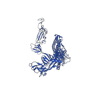 32869_7wwl_C_v1-0
S protein of Delta variant in complex with ZWD12