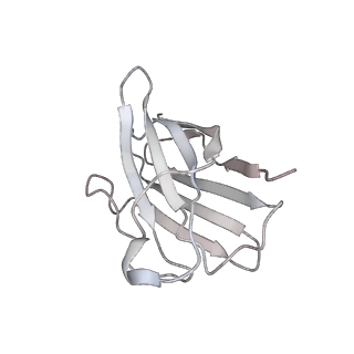 32869_7wwl_I_v1-0
S protein of Delta variant in complex with ZWD12