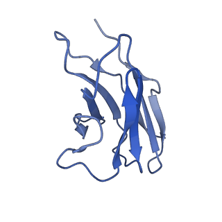 32869_7wwl_L_v1-0
S protein of Delta variant in complex with ZWD12