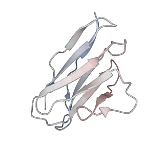 32869_7wwl_M_v1-0
S protein of Delta variant in complex with ZWD12