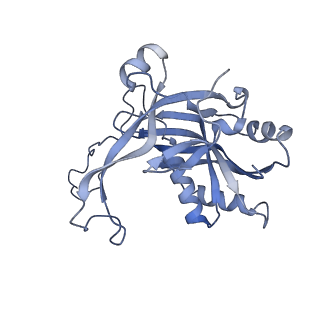 32874_7wwv_B_v1-1
DNA bound-ICP1 Csy complex