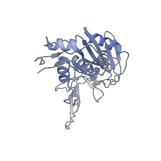 32874_7wwv_C_v1-1
DNA bound-ICP1 Csy complex