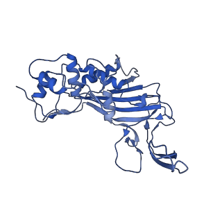 32874_7wwv_E_v1-1
DNA bound-ICP1 Csy complex