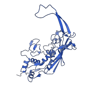32874_7wwv_G_v1-1
DNA bound-ICP1 Csy complex