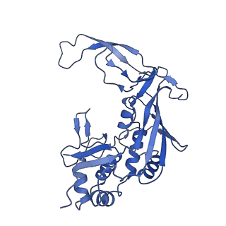 32874_7wwv_H_v1-1
DNA bound-ICP1 Csy complex