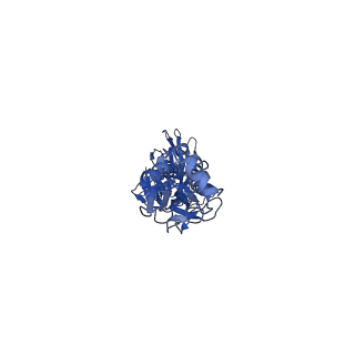 21954_6wxb_A_v1-2
Cryo-EM Structure of Influenza Hemagglutinin (HA) Trimer Vitrified Using Back-it-up