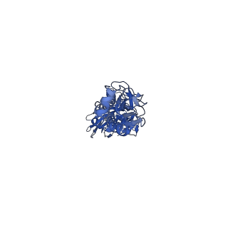21954_6wxb_B_v1-2
Cryo-EM Structure of Influenza Hemagglutinin (HA) Trimer Vitrified Using Back-it-up