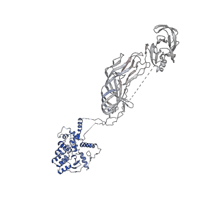 21955_6wxe_1_v1-2
Cryo-EM reconstruction of VP5*/VP8* assembly from rhesus rotavirus particles - Upright conformation