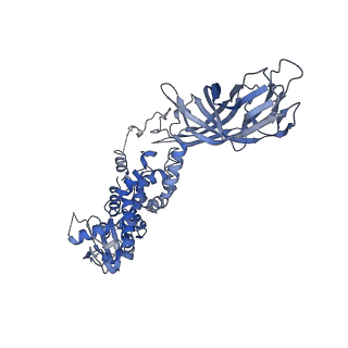 21955_6wxe_3_v1-2
Cryo-EM reconstruction of VP5*/VP8* assembly from rhesus rotavirus particles - Upright conformation