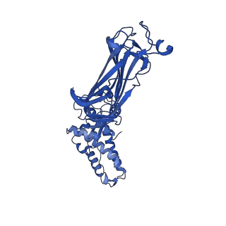 21955_6wxe_C_v1-2
Cryo-EM reconstruction of VP5*/VP8* assembly from rhesus rotavirus particles - Upright conformation