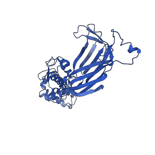 21955_6wxe_D_v1-2
Cryo-EM reconstruction of VP5*/VP8* assembly from rhesus rotavirus particles - Upright conformation