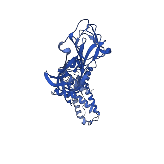 21955_6wxe_G_v1-2
Cryo-EM reconstruction of VP5*/VP8* assembly from rhesus rotavirus particles - Upright conformation
