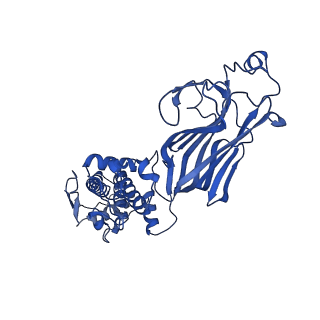 21955_6wxe_H_v1-2
Cryo-EM reconstruction of VP5*/VP8* assembly from rhesus rotavirus particles - Upright conformation