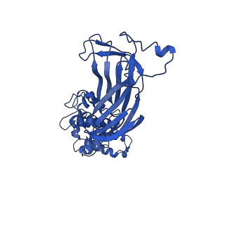 21955_6wxe_J_v1-2
Cryo-EM reconstruction of VP5*/VP8* assembly from rhesus rotavirus particles - Upright conformation